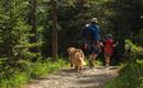Aparthotel-Old-School-Söll-Wanderurlaub-Hunde