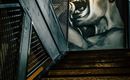 A staircase with dark wooden steps leads up. On the wall is a large, vivid mural of a screaming man.