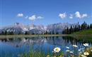A picturesque mountain landscape with a clear lake. Next to the water, white flowers bloom under a radiant blue sky.