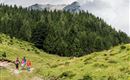 familie-wandern-scheffau-