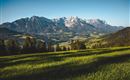 Fruehling-Landschaft-Scheffau-WilderKaiser