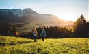 Two hikers are walking through a green meadow with mountains in the background. The sun is shining and the sky is clear.