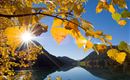A beautiful autumn view with bright yellow leaves and a reflecting water surface. The sun shines brightly over the mountains and the clear blue sky.