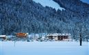 A picturesque winter landscape with snow-covered trees and friendly cottages. The lights of the houses shine in the twilight, creating a cozy atmosphere.