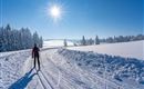 A person is skiing on a snowy cross-country trail under a clear blue sky. The sun shines brightly over a winter landscape with snow-covered trees.