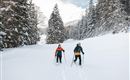 Two people are hiking through a snowy landscape. Tall, snow-covered trees surround the path.