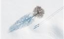 Schneeschuhwandern-am-Wilden-Kaiser2