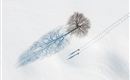 A single tree stands in the snow, while its shadow falls on the white surface. Nearby, two people can be seen walking through the snow.