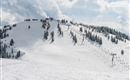 Ein schöner verschneiter Hang mit Bäumen und einer Skiliftanlage. Der Himmel ist bewölkt, was eine winterliche Atmosphäre schafft.