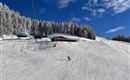 A snow-covered slope with a skier and a mountain hut in the background. The sky is blue with some white clouds and the trees are covered in snow.