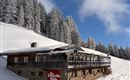 A cozy mountain cabin in the snow, surrounded by snow-covered fir trees. The sky is clear and radiates a beautiful blue.