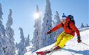 A skier in bright orange clothing is skiing through fresh, deep snow. In the background, snow-covered trees stand under a clear blue sky.