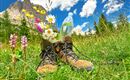 Wandern-in-Tirol