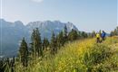 wanderung am wilden Kaiser