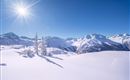 A winter landscape with snow-covered mountains and bright sunshine. In the foreground are scattered, frozen trees.