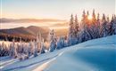 A wintry landscape with snow-covered fir trees and gentle hills in the background. The sun shines bright over the snowy scene.
