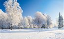 A snowy winter landscape with snow-covered trees. The sky is clear and blue.