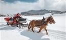 A horse-drawn sleigh ride through a snowy landscape. In the background, snow-covered hills and a clear sky are visible.