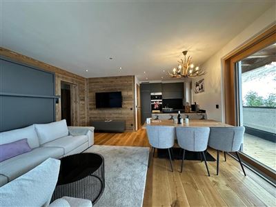 Apartmán, sprcha, koupelna, WC, 2 místnosti na spaní