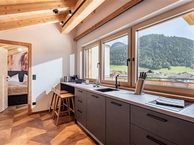 Apartment "Salvenpanorama"
