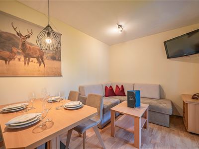 GAMPENKOGEL apartment/1 bedroom/shower/ WC, balcony