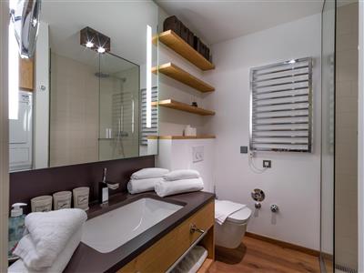 Apartment, shower, toilet