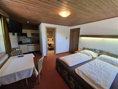 Apartment/Wohn-Schlafraum/Bad, WC