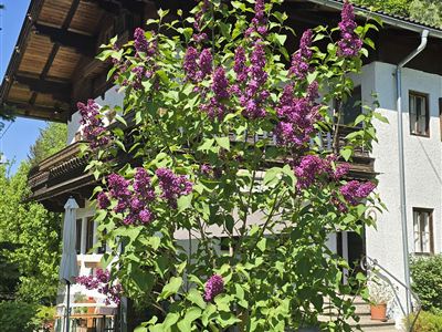 Double room, shared shower/shared toilet, balcony