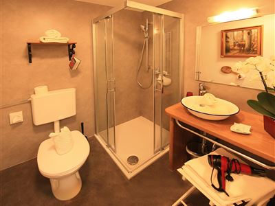Double room, shower, toilet, balcony