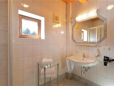 1 bedroom, comb liv.-bedr/shower or bath