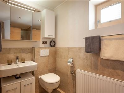Apartmán, sprcha, WC, 1 místnost na spaní