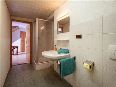 Apartment, shower, toilet, 2 bed rooms
