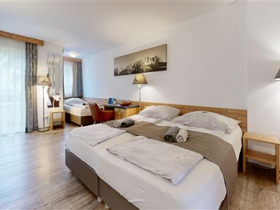 A cozy triple room with a double bed and a single bed and wood paneling. Plenty of daylight through large windows and a modern, relaxing atmosphere.