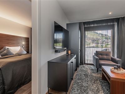 Apartment DELUXE mit 1 SZ 45m2