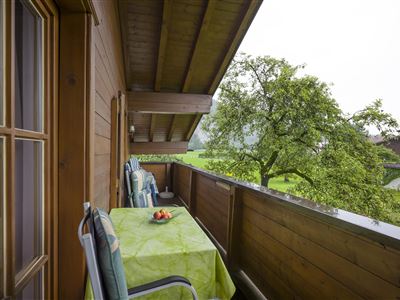 apartment/1 bedroom/shower, WC