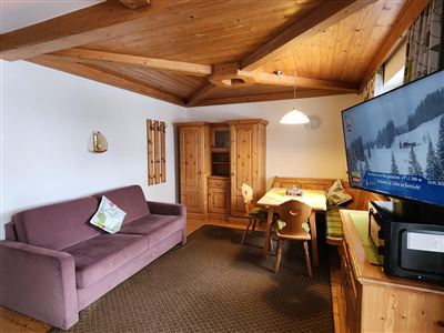 Apartment #21 for 2-3 people with one bedroom, living-sleeping area with sofa bed, kitchenette, and bathroom with shower/WC.