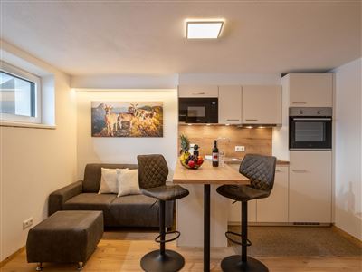 Apartmán, sprcha, WC, 1 místnost na spaní