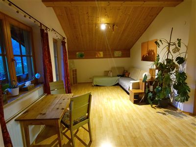 Een heldere kamer met houten plafond en groot raam. Er is een tafel, een stoel en een gezellige bank, omringd door planten.