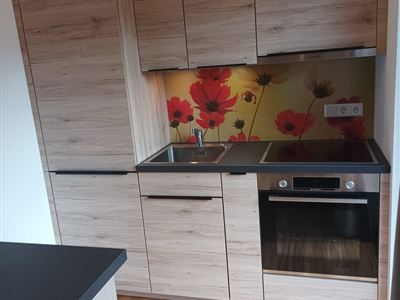 Apartmán, sprcha nebo vana, WC, 1 místnost na spaní