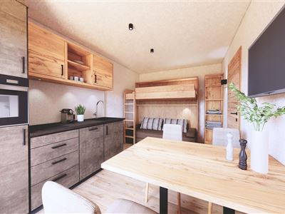 Apartment, shower, toilet, 1 bed room