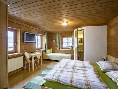 triple room with shower, WC