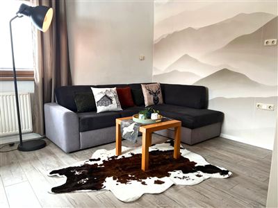 A cozy living room with a gray sofa and colorful cushions. In the middle, there is a wooden table on a carpet.