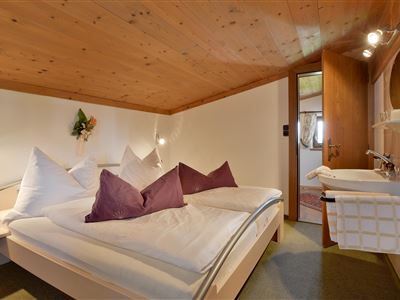 Apartmán, sprcha nebo vana, WC, 2 místnosti na spaní