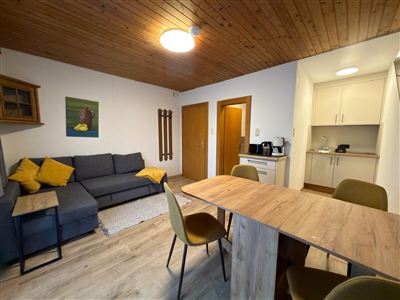 Een gezellige woonkamer met een bank, een tafel en stoelen. De keuken is modern en goed uitgerust.