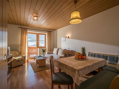 Apartment, shower, toilet, 1 bed room