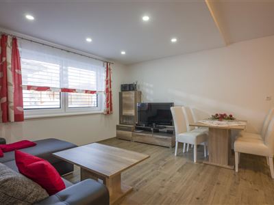 Apartmán, sprcha, koupelna, WC, 1 místnost na spaní