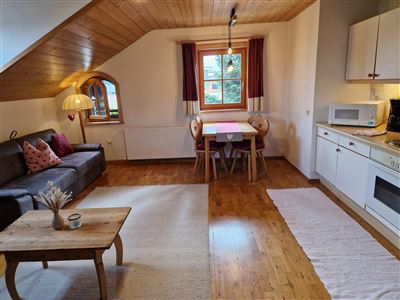 Apartmán, sprcha, WC, 1 místnost na spaní