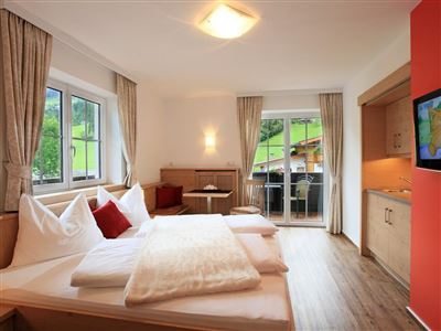 Appartement/1 Schlafraum/Bad, WC