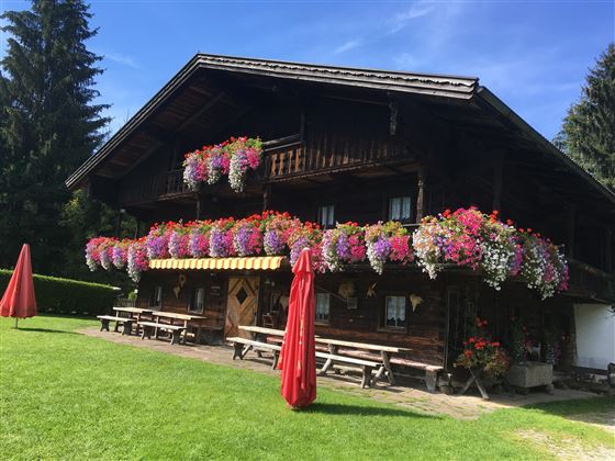 ... mit Balkonblumen