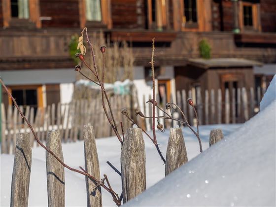 A snow-covered garden with a wooden fence in the foreground. In the background, you can see a traditional, rustic house.